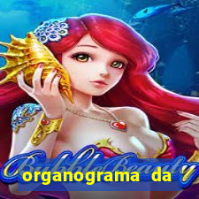 organograma da cacau show