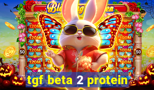 tgf beta 2 protein