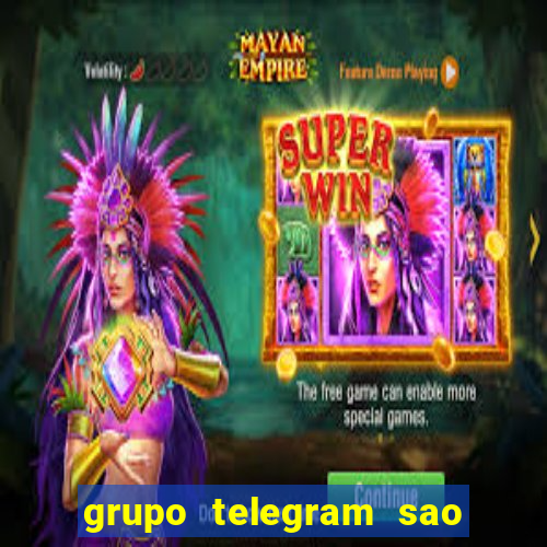 grupo telegram sao jose do rio preto