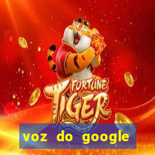 voz do google tradutor homem