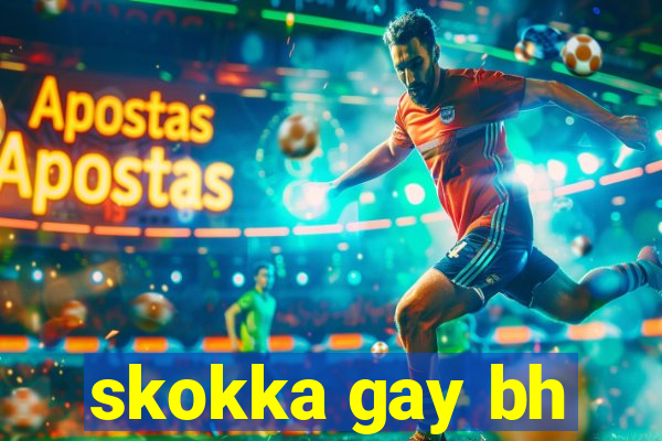 skokka gay bh