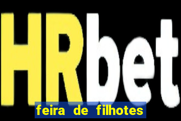 feira de filhotes porto alegre