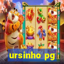 ursinho pg