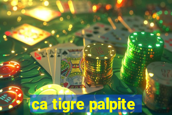 ca tigre palpite