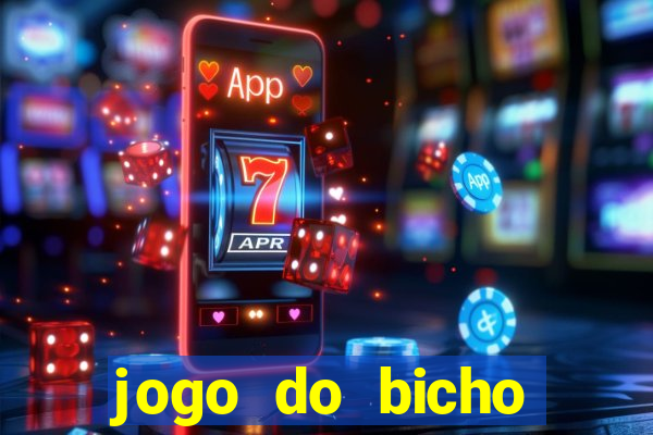 jogo do bicho crash bingo