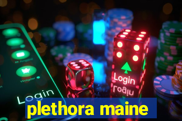 plethora maine