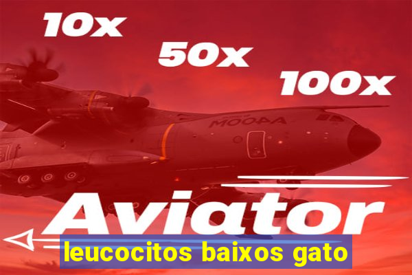 leucocitos baixos gato