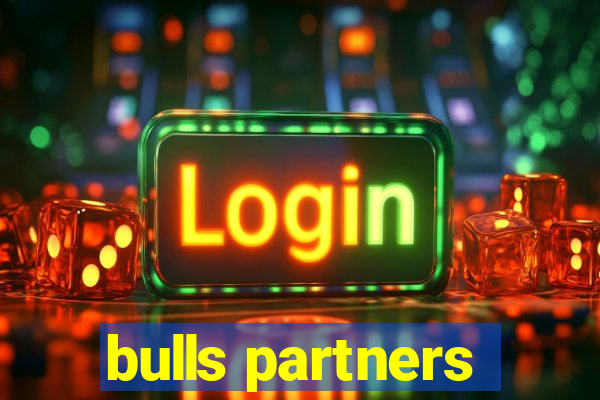 bulls partners