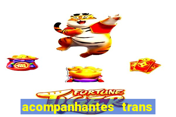 acompanhantes trans porto seguro