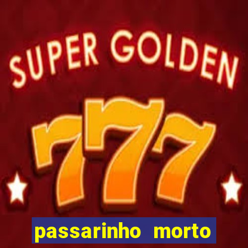 passarinho morto significado espiritual