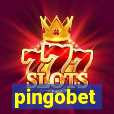 pingobet