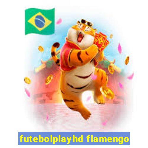 futebolplayhd flamengo