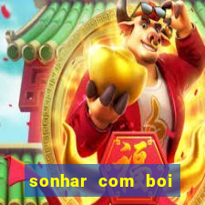 sonhar com boi branco jogo do bicho