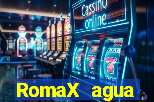 RomaX agua sanitaria fispq agua sanitaria romax