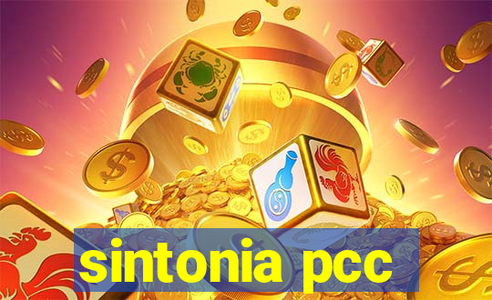 sintonia pcc