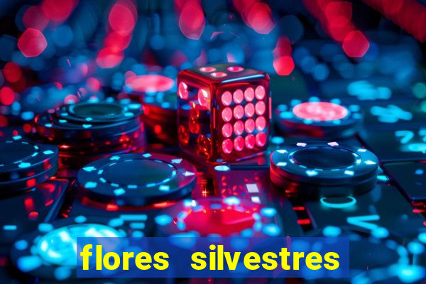 flores silvestres desbravadores desbravadores 25 flores silvestres e seus nomes