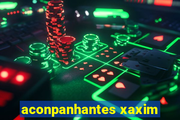 aconpanhantes xaxim