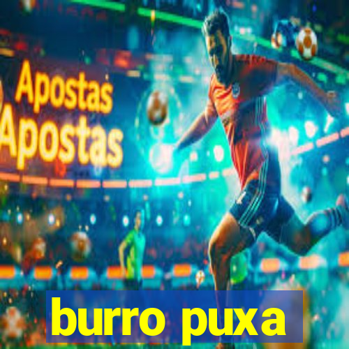 burro puxa