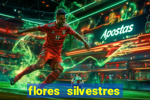 flores silvestres desbravadores desbravadores 25