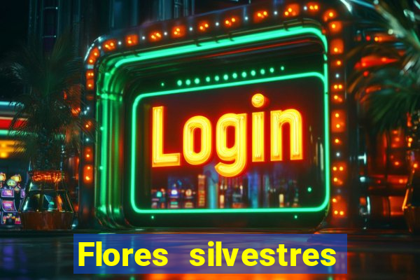 Flores silvestres brasileiras brasileiras flores silvestres nomes e imagens