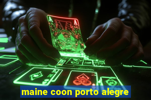 maine coon porto alegre