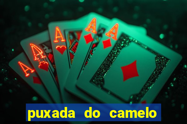 puxada do camelo no jogo do bicho