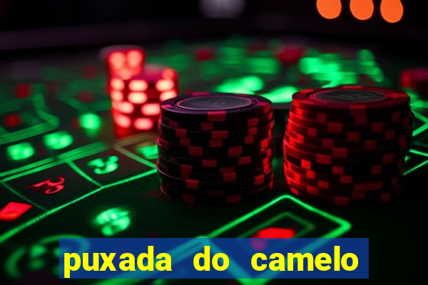 puxada do camelo no jogo do bicho