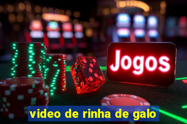 video de rinha de galo