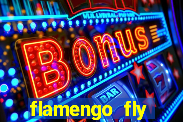 flamengo fly emirates ultimas noticias