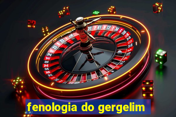 fenologia do gergelim