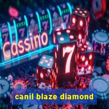 canil blaze diamond