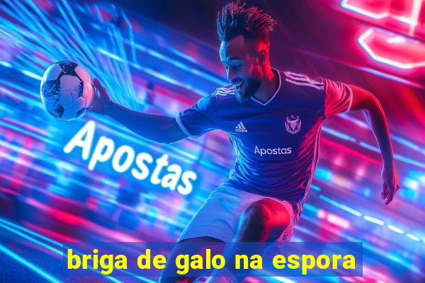 briga de galo na espora