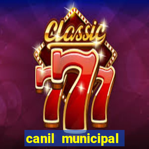 canil municipal porto alegre