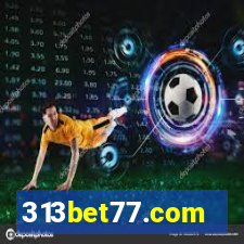 313bet77.com