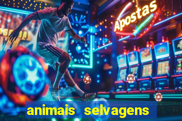 animais selvagens fotos e nomes