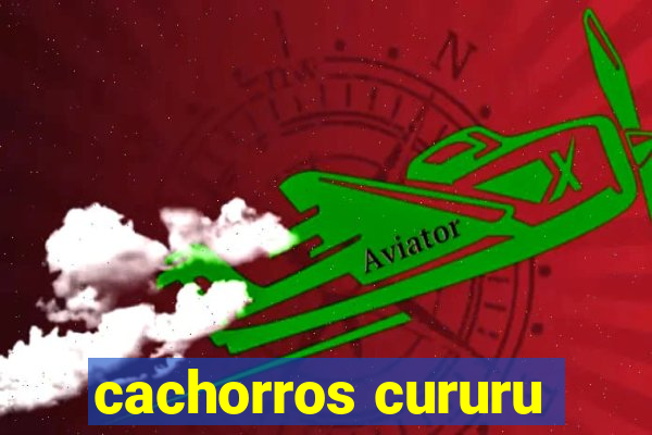 cachorros cururu