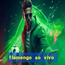 flamengo ao vivo multi tv