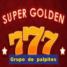 Grupo de palpites de futebol gratis