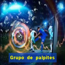 Grupo de palpites de futebol gratis