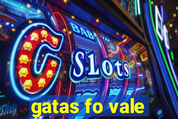 gatas fo vale