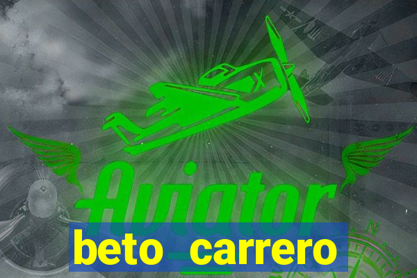 beto carrero cidades proximas