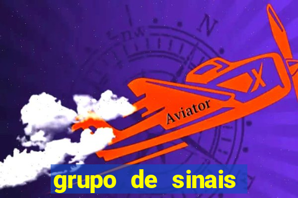 grupo de sinais trader telegram