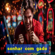 sonhar com gado jogo do bicho